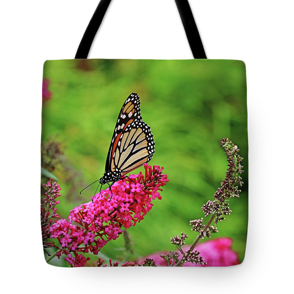 Butterfly Tote Bag featuring the photograph Monarch In The Garden by Debbie Oppermann