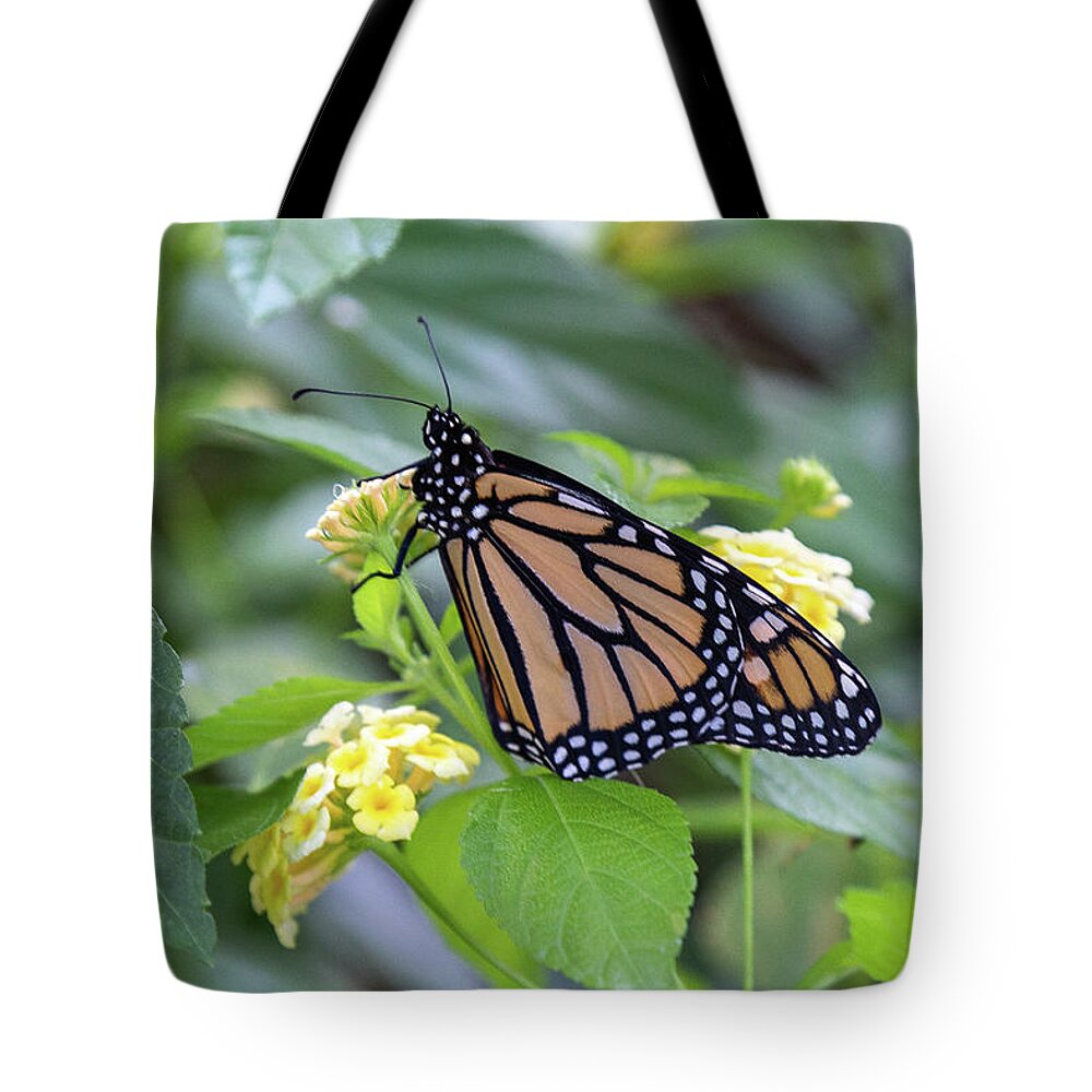 Monarch Tote Bag featuring the photograph Monarch Moment by Patricia Schaefer