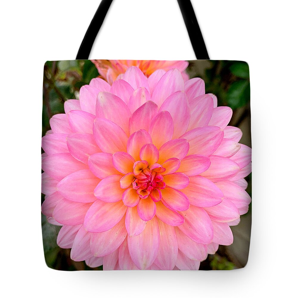 Monterey Tote Bag featuring the photograph Monterey Floral Study 9 by Robert Meyers-Lussier