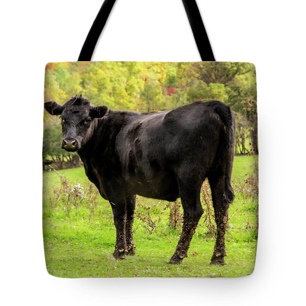 Cattle Tote Bag featuring the photograph Moo by Cathy Kovarik
