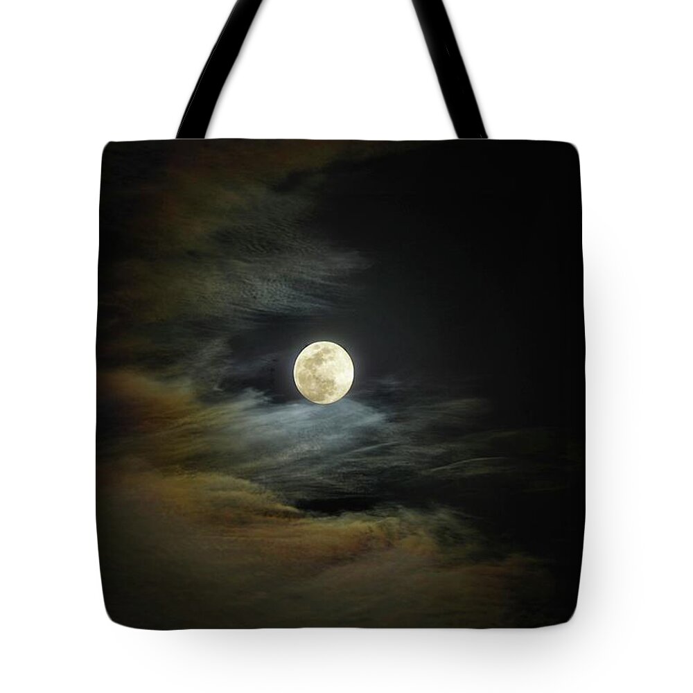 Moon Tote Bag featuring the photograph Moon Dog by Stoney Lawrentz