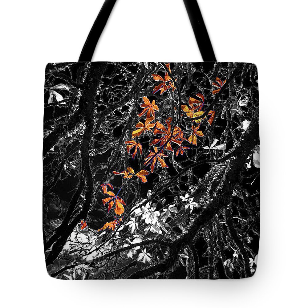 Digital Art Tote Bag featuring the photograph Moon Kissed Amber by Ian Anderson