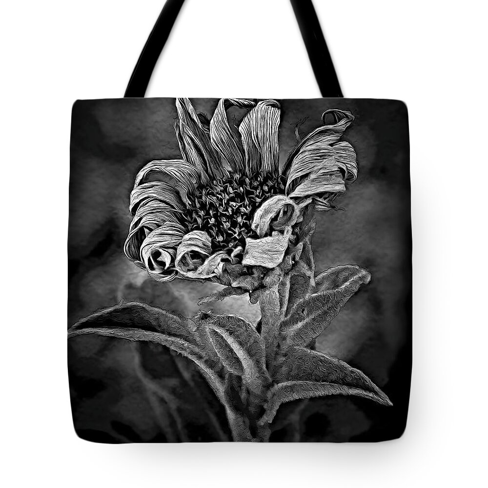 Moonlight Encore Tote Bag featuring the photograph Moonlight Encore by Michael Gross