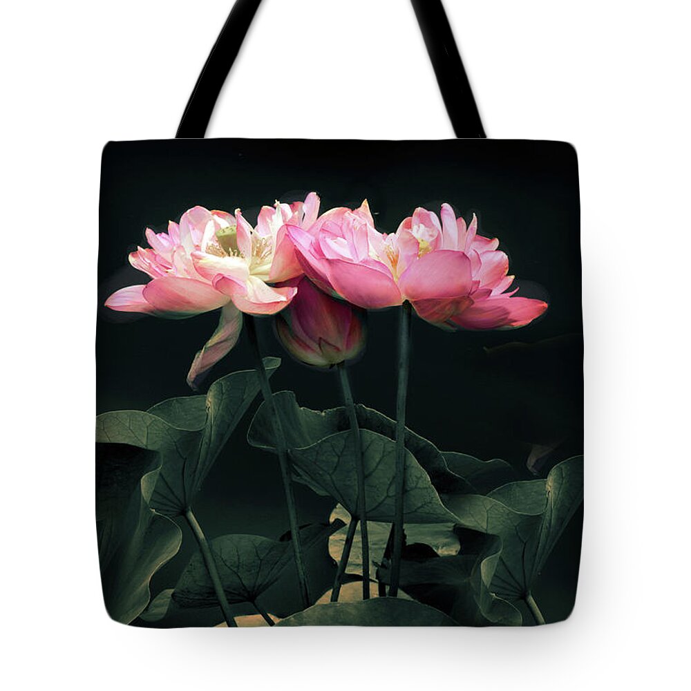 Lotus Tote Bag featuring the photograph Moonlight Lotus by Jessica Jenney
