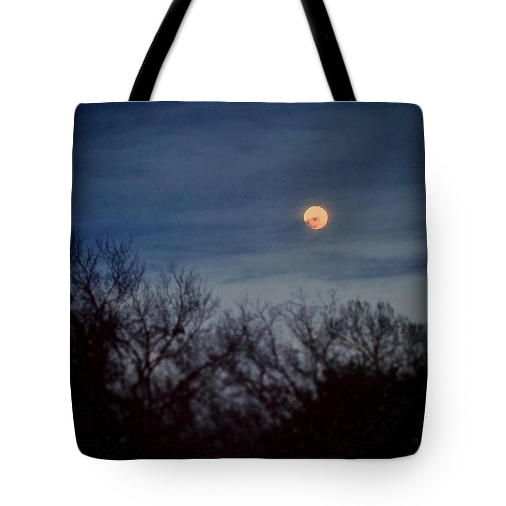 Daniel Tote Bag featuring the painting Moonrise and Trees by Daniel Nelson