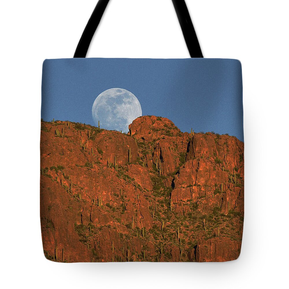 Tucson Tote Bag featuring the photograph Moonrise over the Tucson Mountains by Chance Kafka