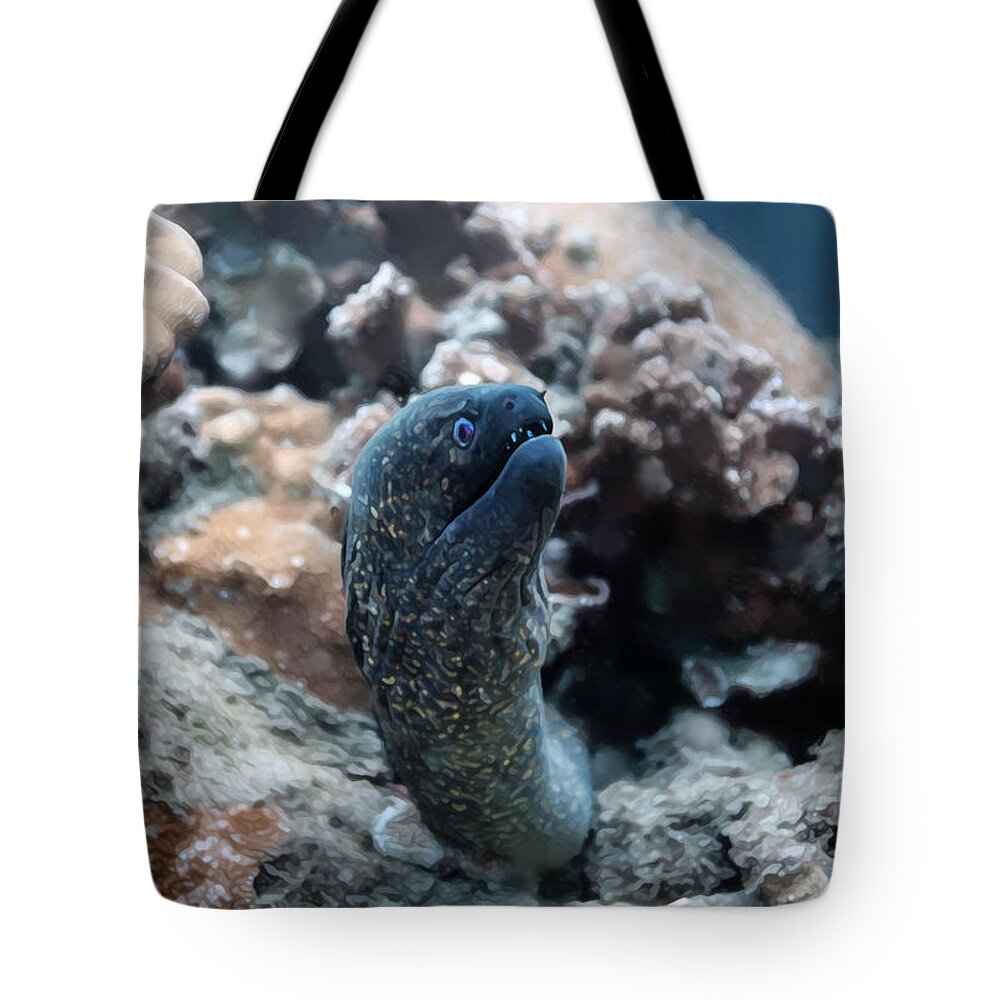 Hawaii Tote Bag featuring the photograph Moray Eel - Black Rock by Anthony Jones