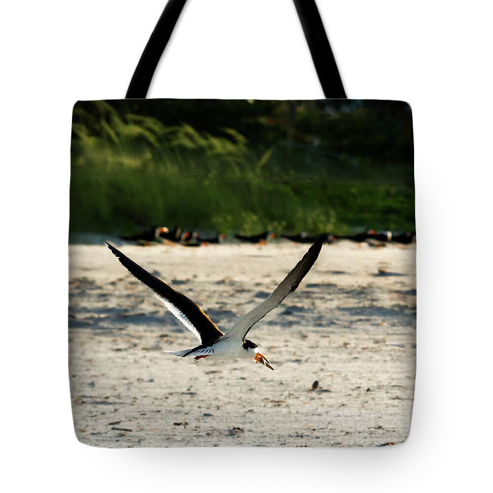 Susan Molnar Tote Bag featuring the photograph Morning Catch by Susan Molnar