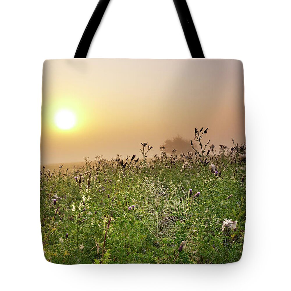 Grass Tote Bag featuring the photograph Morning Dew On Spiders Cobweb by Travelpix Ltd
