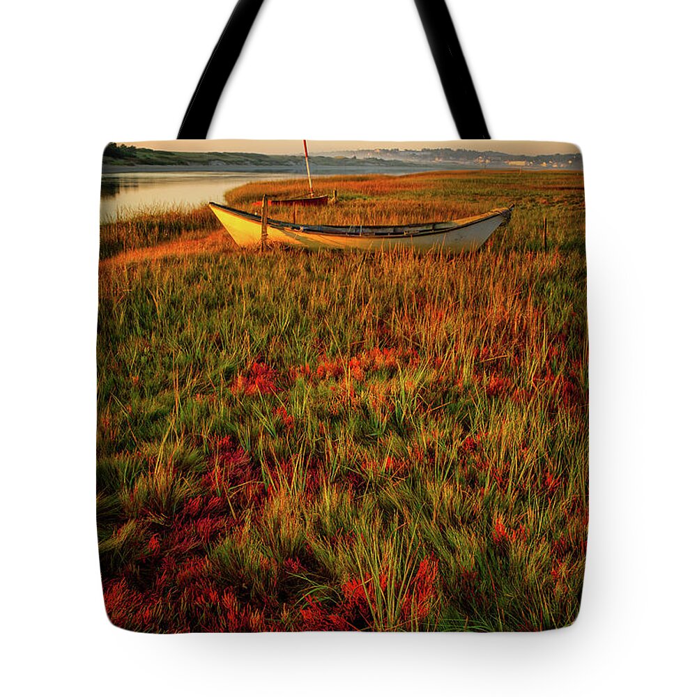 Footbridge Beach Tote Bag featuring the photograph Morning Dory by Jeff Sinon