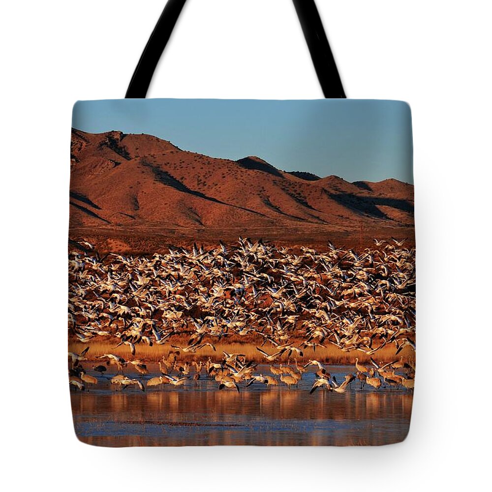 Dawn Tote Bag featuring the photograph Morning Flight by Bytegirl