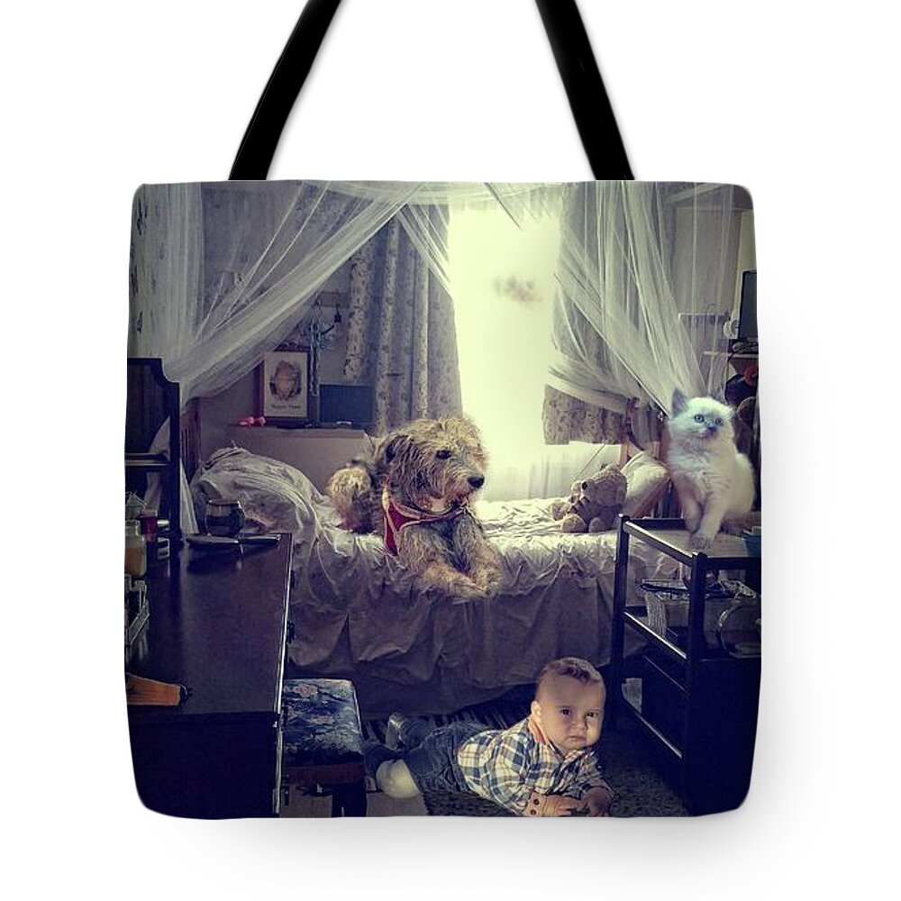 Bedroom Tote Bag featuring the mixed media Morning in Abbie's Bedroom by Eva Lechner