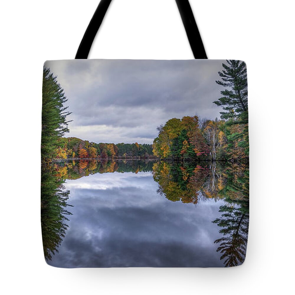 Reflection Tote Bag featuring the photograph Morning Reflections by Brad Bellisle
