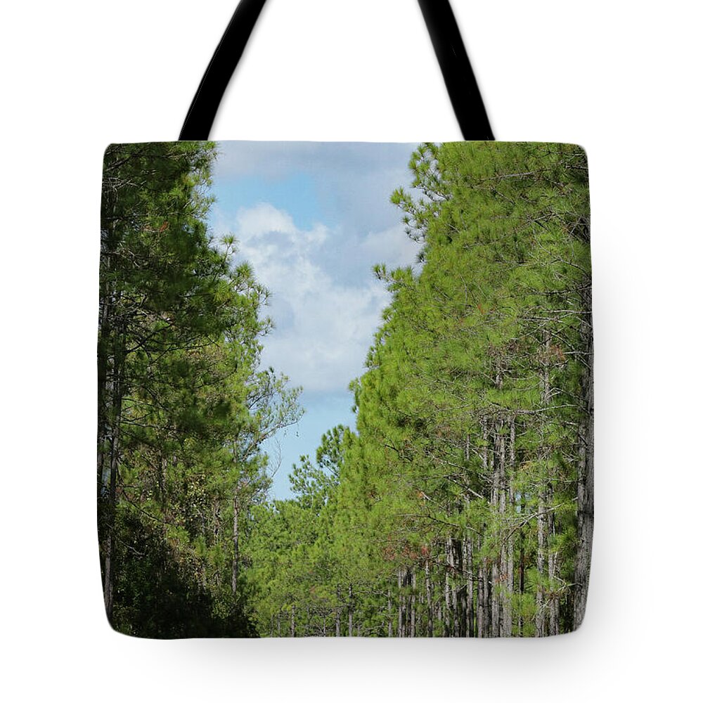 Bike Tote Bag featuring the photograph Morning Ride by Rick Redman