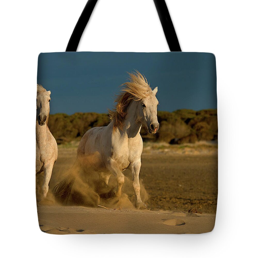 Horse Tote Bag featuring the photograph Morning Run On The Beach by © Debbie Dicarlo Photography