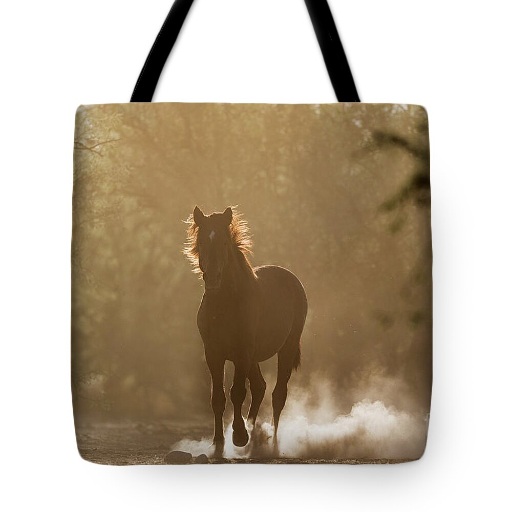 Stallion Tote Bag featuring the photograph Morning Run by Shannon Hastings