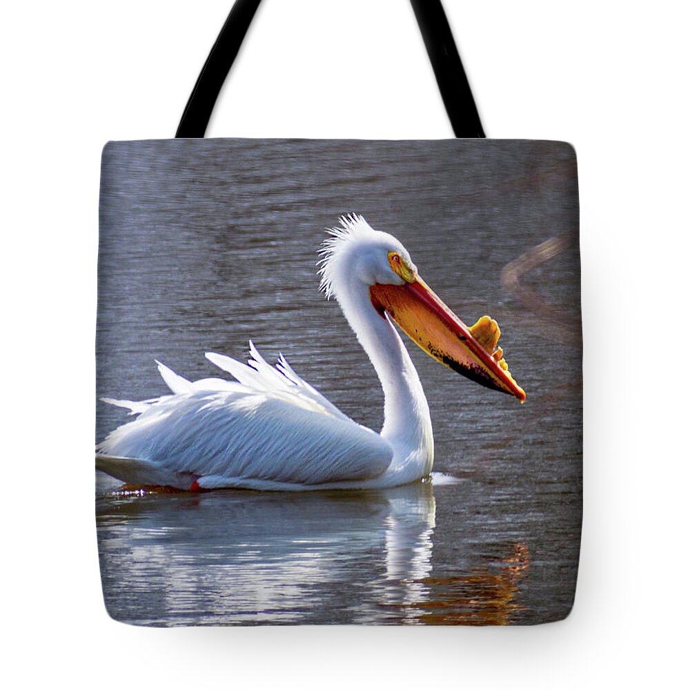 American White Pelican Tote Bag featuring the photograph Morning Swim by Phil S Addis