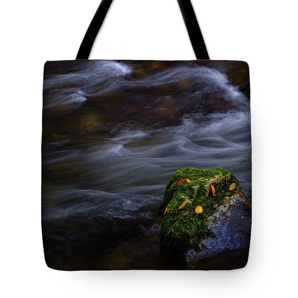 Sunset Tote Bag featuring the photograph Moss Covered Rock by Johnny Boyd