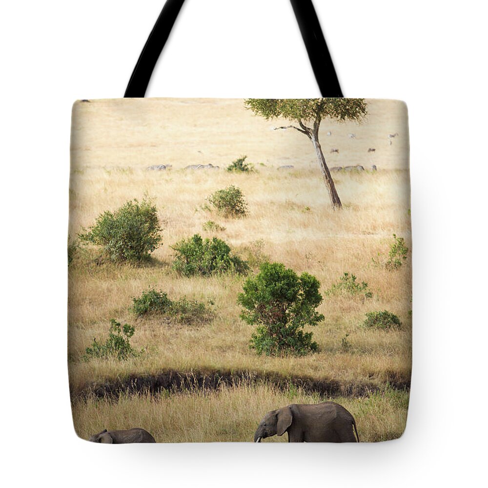 Kenya Tote Bag featuring the photograph Mother And Baby Elephant In Savanna by Universal Stopping Point Photography