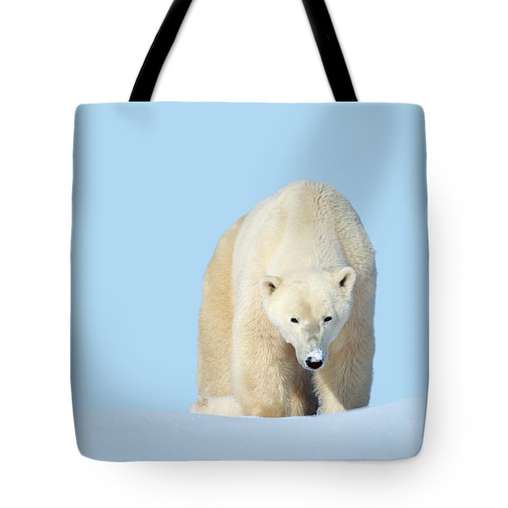 Bear Cub Tote Bag featuring the photograph Mother Polar Bear With Cub, Canada by Art Wolfe