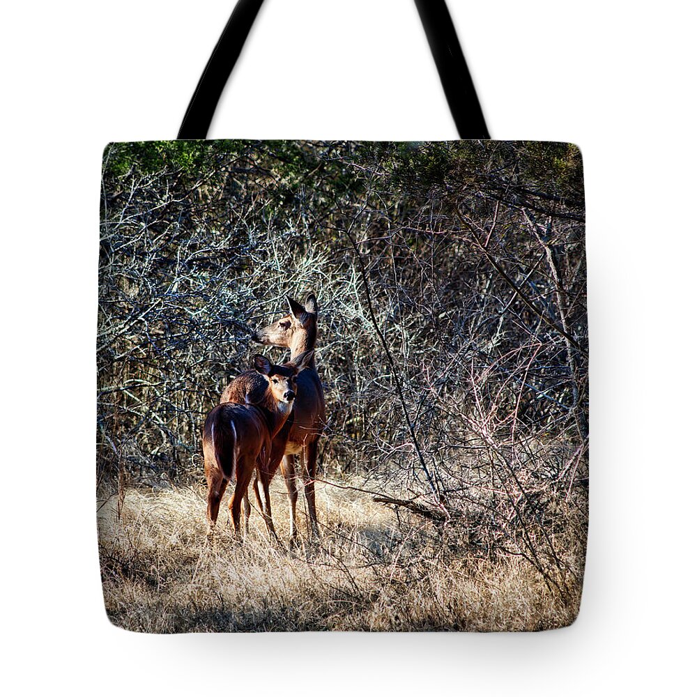 White-tailed Deer Tote Bag featuring the photograph Mother's Apron Strings by Laura Vilandre