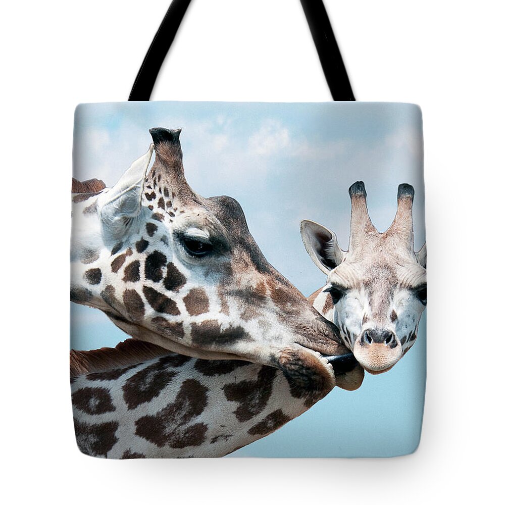 Animal Themes Tote Bag featuring the photograph Mothers Touch by Gail Shotlander