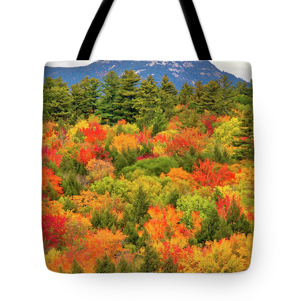 Mount Chocorua Tote Bag featuring the photograph Mount Chocorua by Juergen Roth