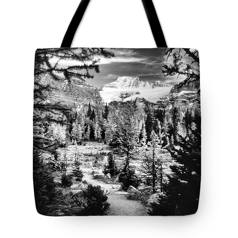 Fine Art Black And White Tote Bag featuring the photograph Mount Fay from Larch Valley Trail by Steve Ember