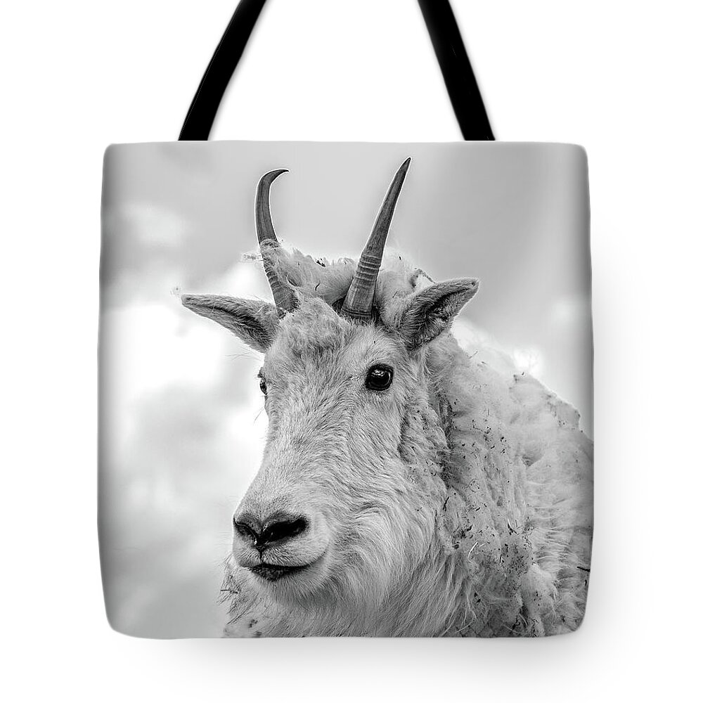 Mountain Goat Tote Bag featuring the photograph Mountain Goat in Black and White 8x10 by Mindy Musick King