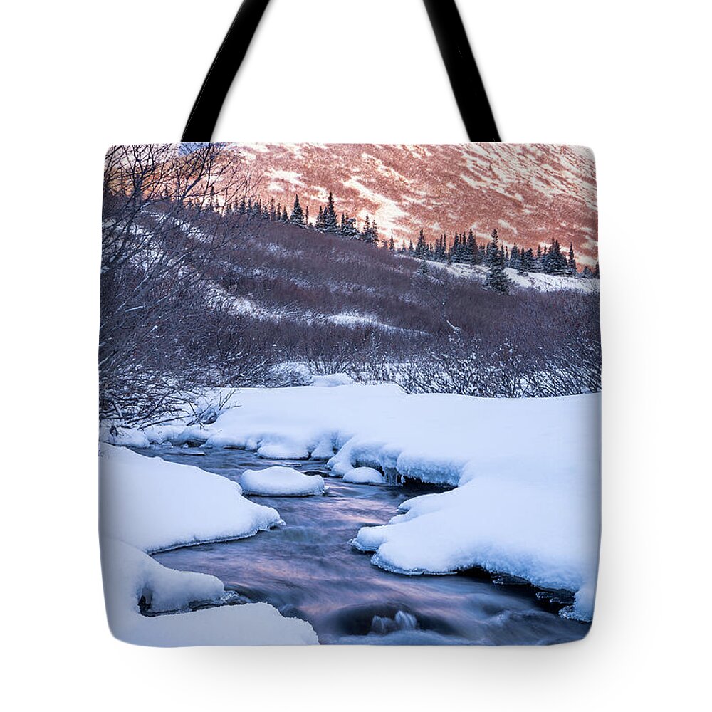 Ice Tote Bag featuring the photograph Mountain Stream in Winter by Tim Newton