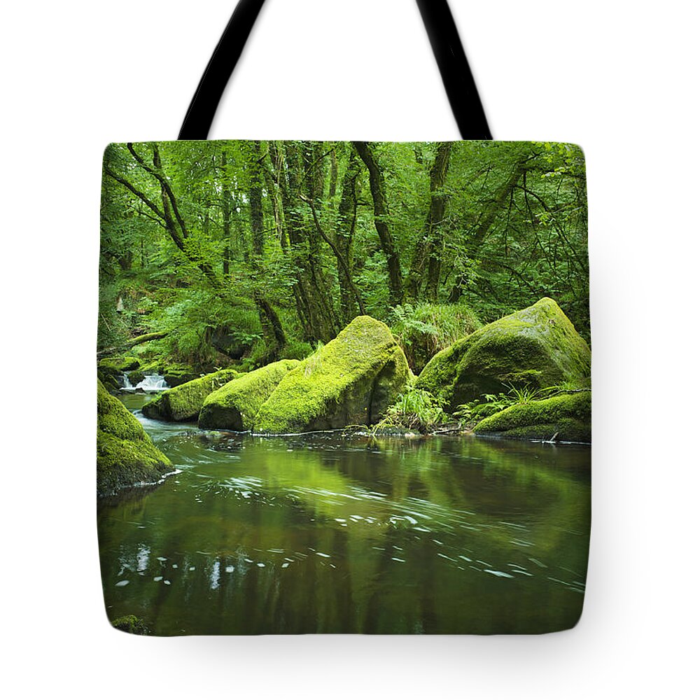 Scenics Tote Bag featuring the photograph Mountain Stream With Green Rocks by Hiob