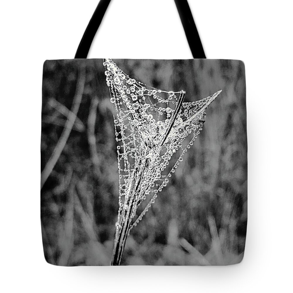 Beautiful Tote Bag featuring the photograph Mountain Web Dew by Ally White