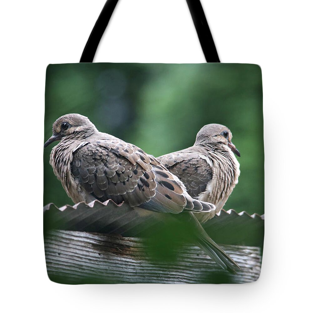 Birds Tote Bag featuring the photograph Mourning Meditation by Trina Ansel