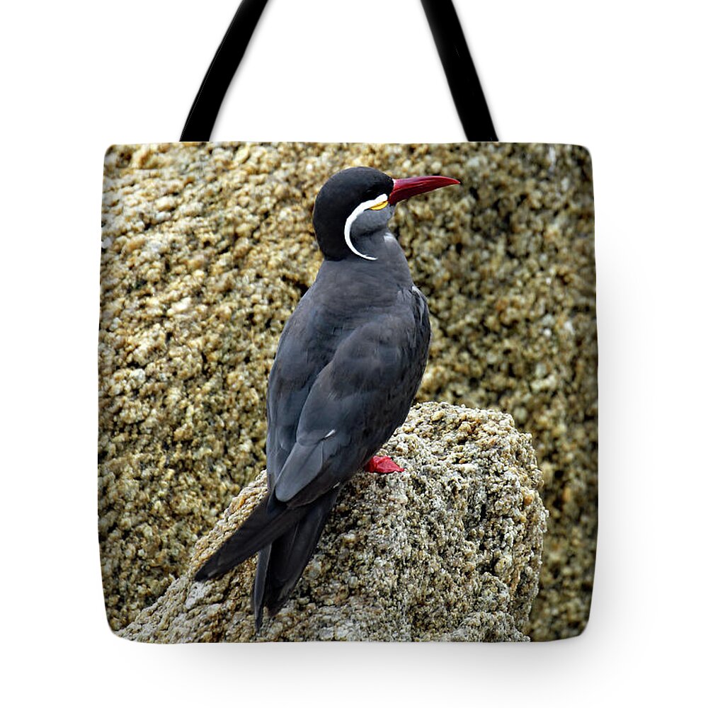 South America Tote Bag featuring the photograph Moustached Tern by Jennifer Robin