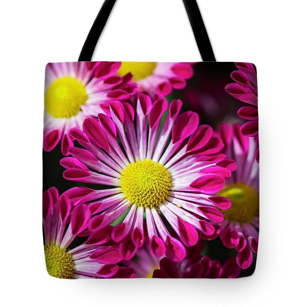 Mum Tote Bag featuring the photograph Mum is the Word by Terri Hart-Ellis