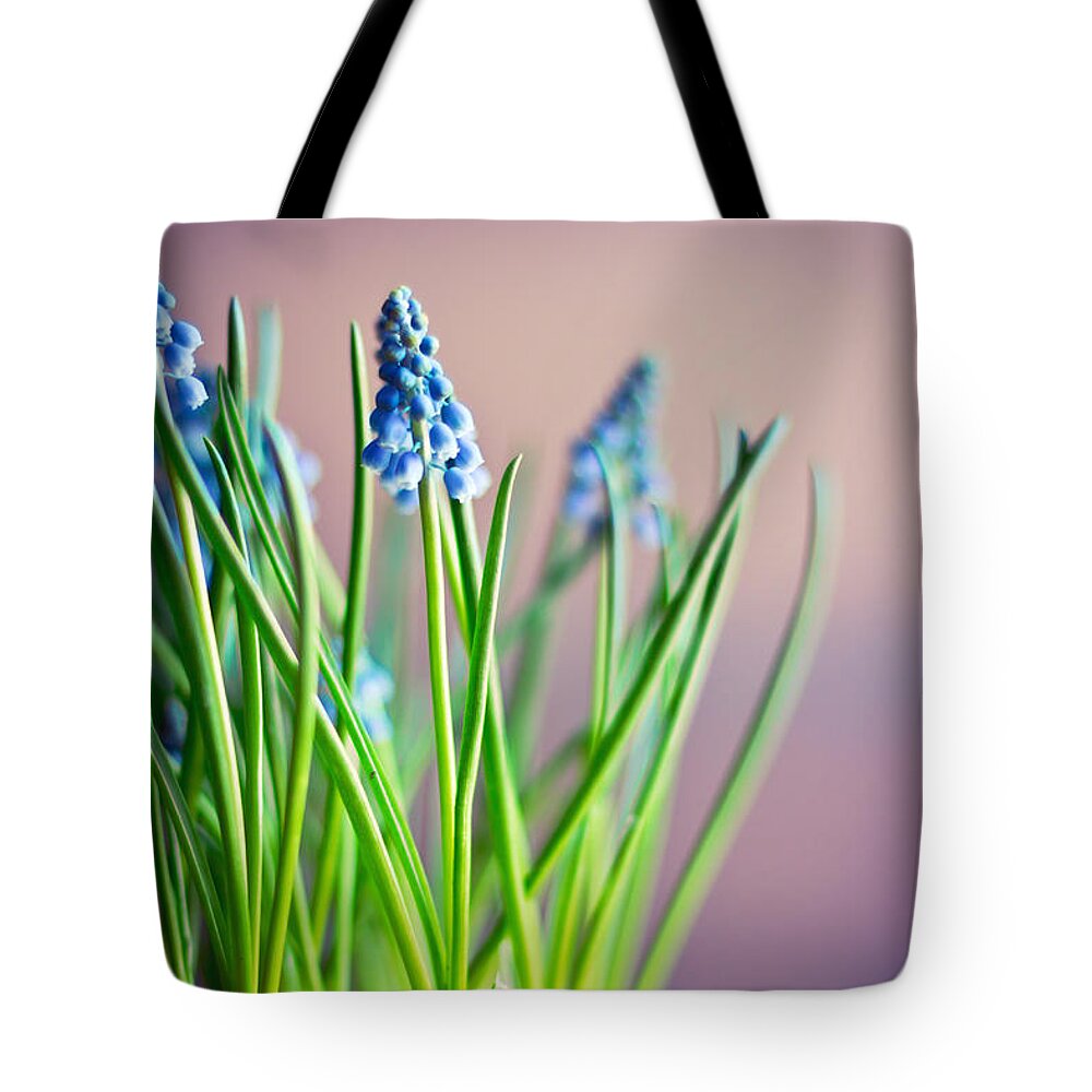 Fragility Tote Bag featuring the photograph Muscari Flowers Grape Hyacinth by Angelika Kaczanowska