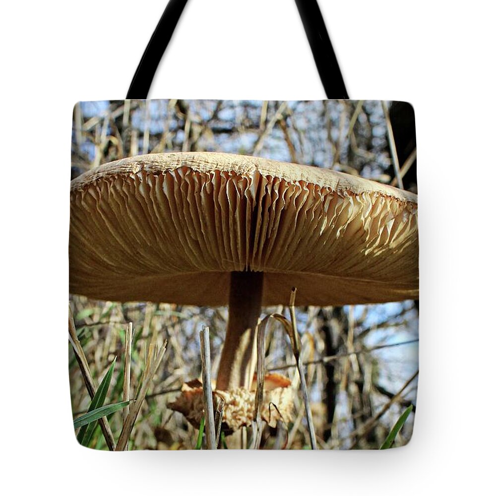 Mushroom Tote Bag featuring the photograph Mushroom macro by Martin Smith