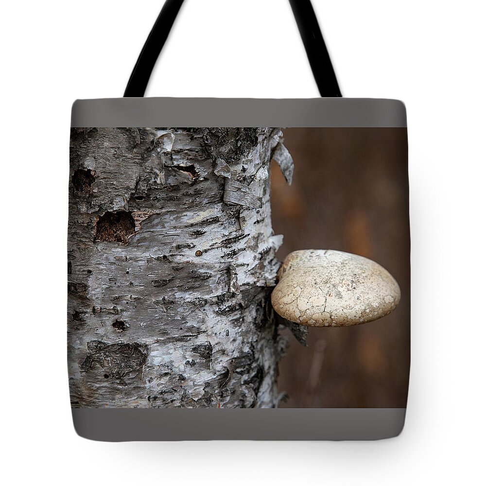 Mushroom Tote Bag featuring the photograph Mushroom on Birch by Laura Smith