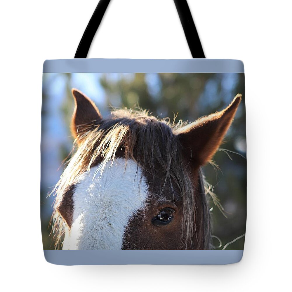 Mustang Tote Bag featuring the photograph Mustang Close Up by Maria Jansson