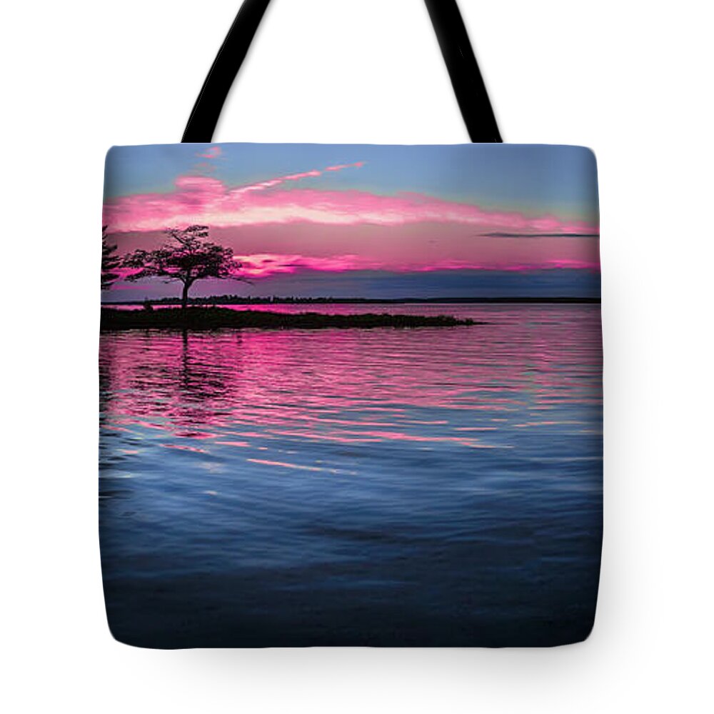 Blue Water Tote Bag featuring the photograph My Favorite Tree by Joe Holley