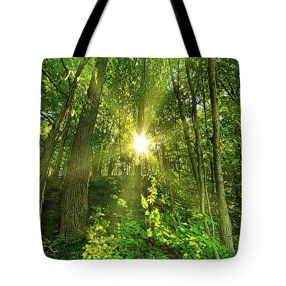 Life Tote Bag featuring the photograph My Secret Place by Phil Koch