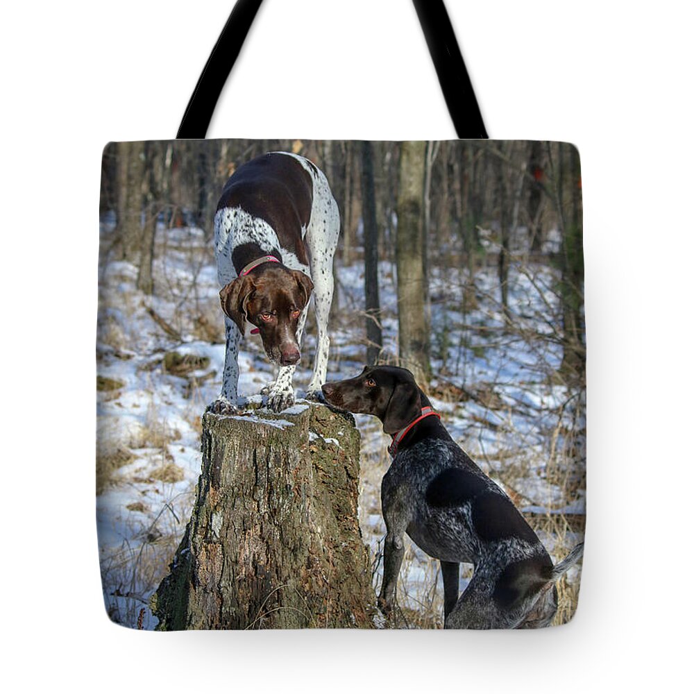German Shorthaired Pointers Tote Bag featuring the photograph My Stump by Brook Burling