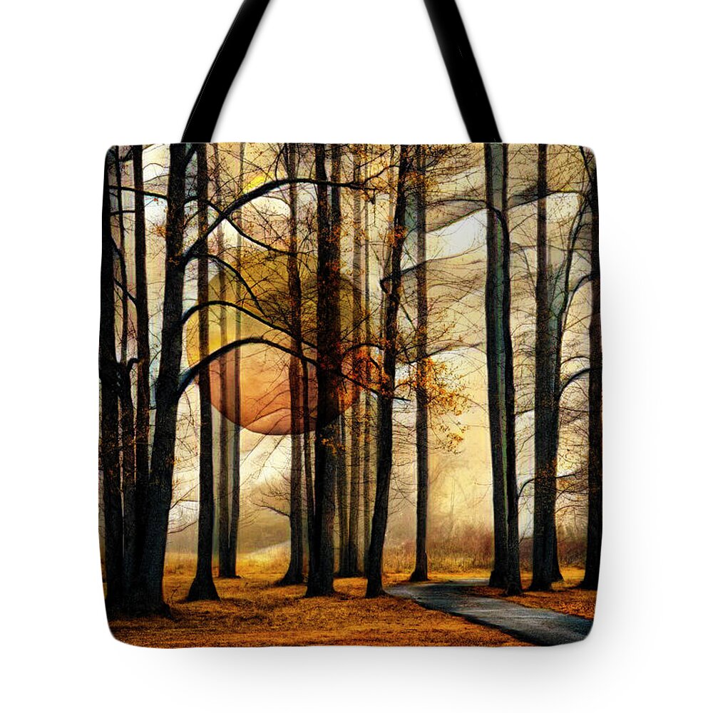 Appalachia Tote Bag featuring the photograph Mysterious Forest by Debra and Dave Vanderlaan