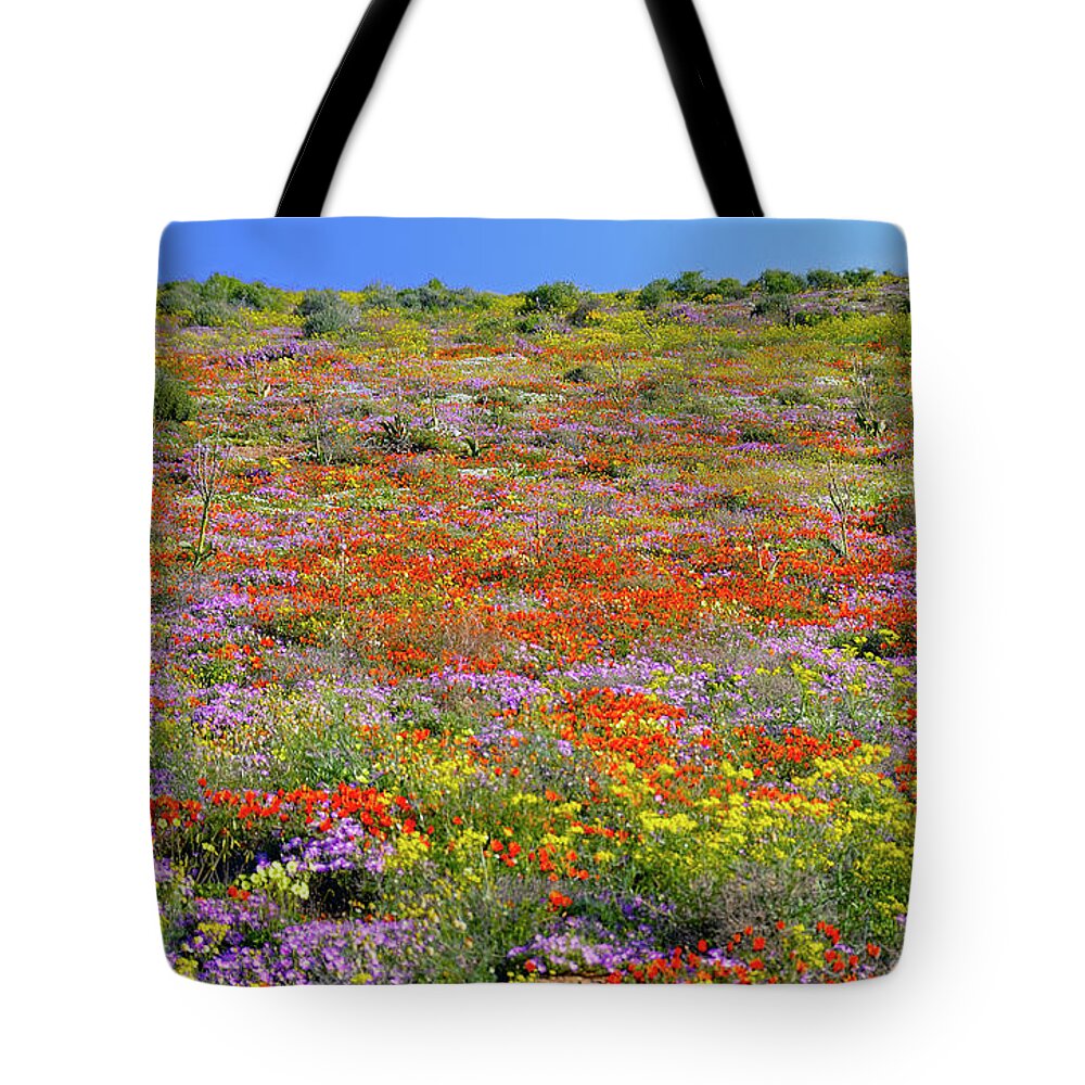 Tranquility Tote Bag featuring the photograph Namaqualand Wild Flowers by Photo By Martin Heigan.