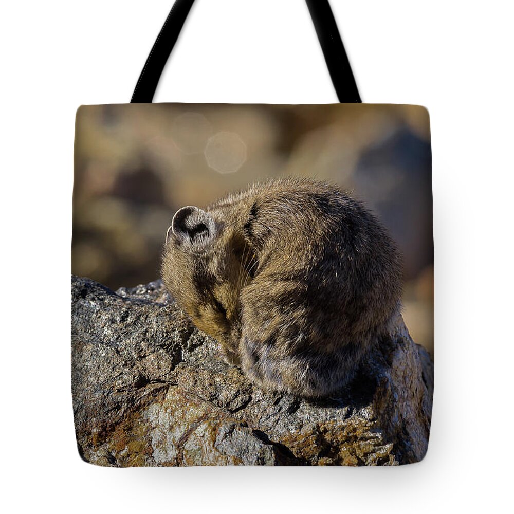 American Pika Tote Bag featuring the photograph Napping American Pika - 4694 by Jerry Owens