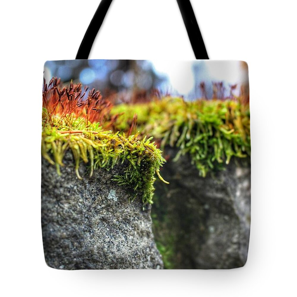 Moss Tote Bag featuring the photograph Nascent by Christopher Lotito