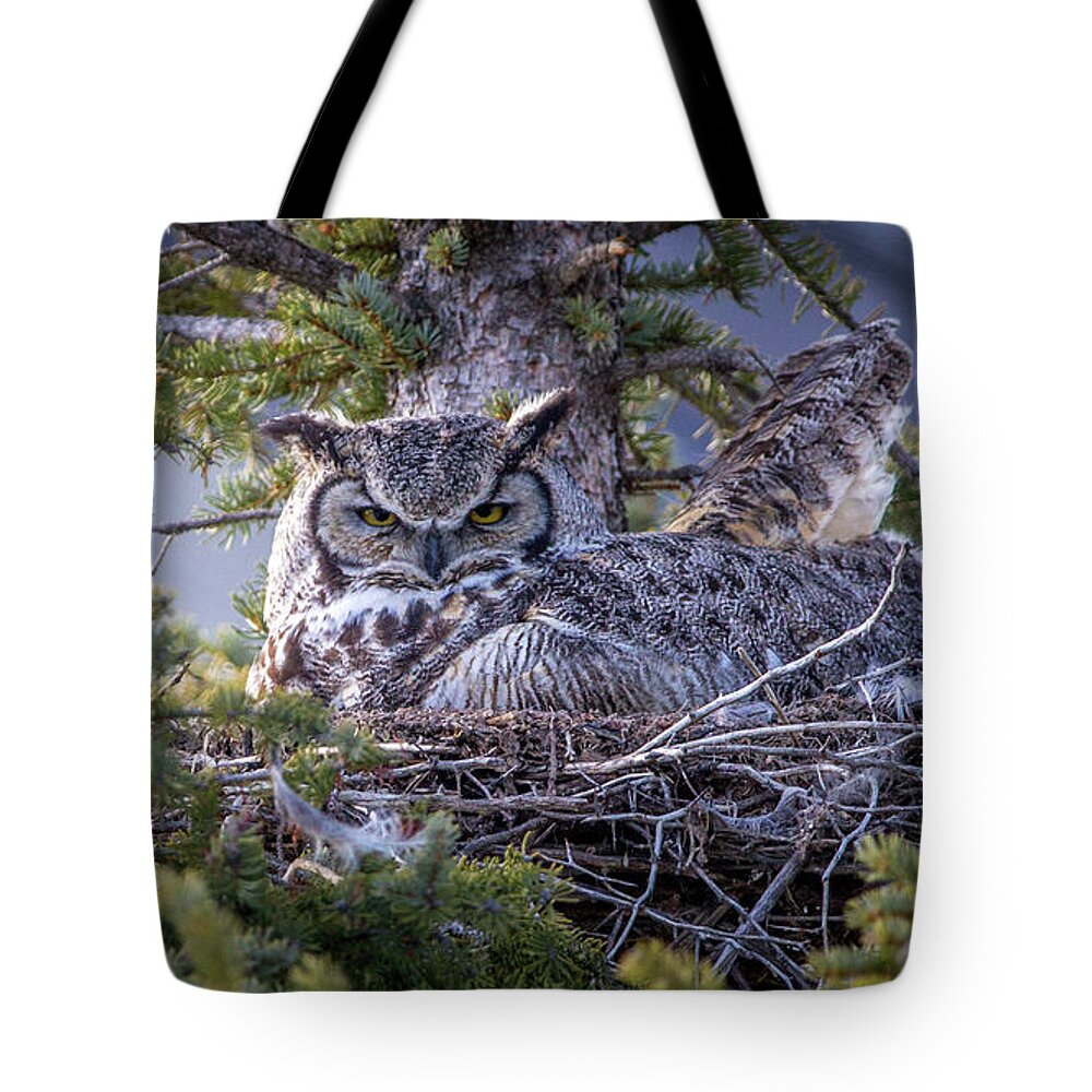 Airport Tote Bag featuring the photograph Naturally Patient by Kevin Dietrich