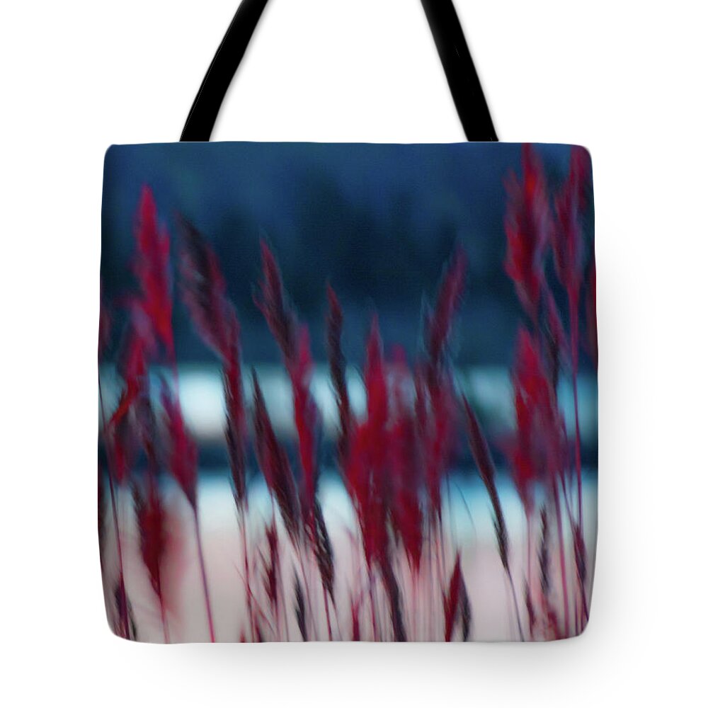 Sandusky Tote Bag featuring the photograph Nature Abstracts by Stewart Helberg