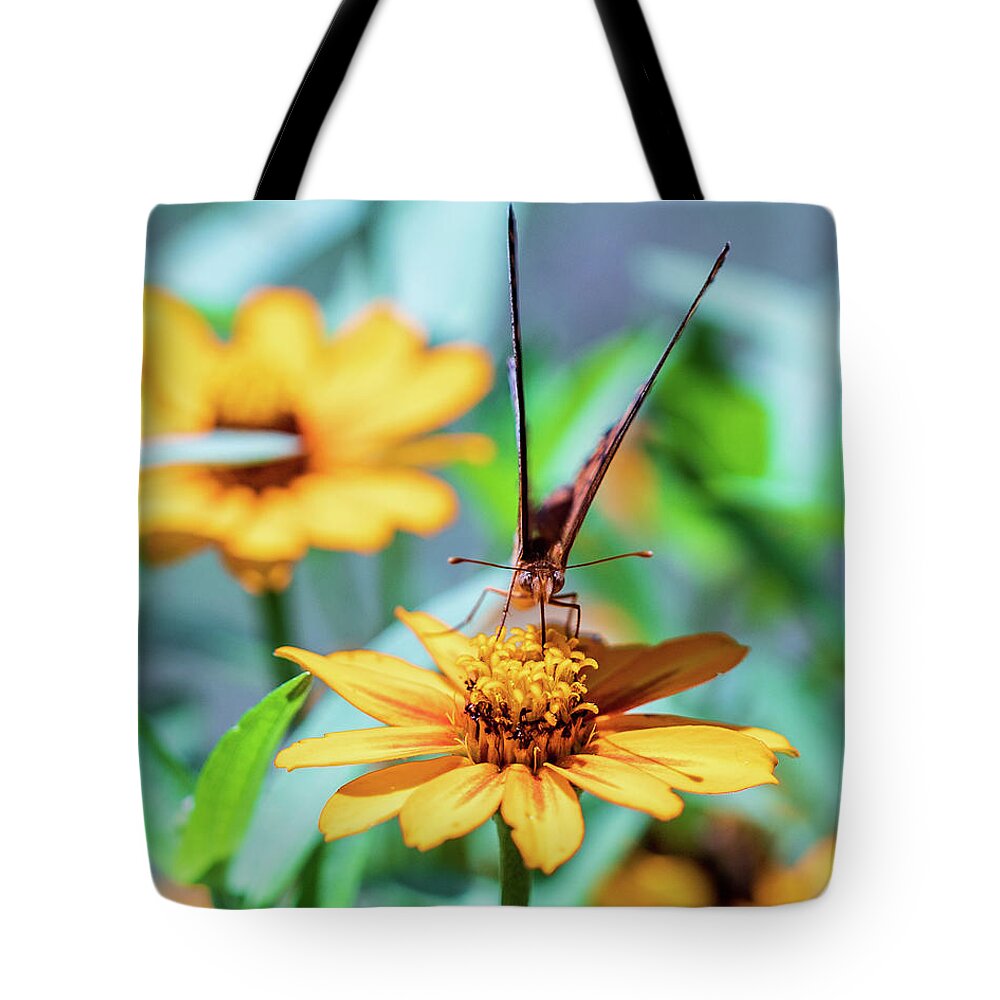 Arboretum Tote Bag featuring the photograph Nature Photography Butterfly by Amelia Pearn