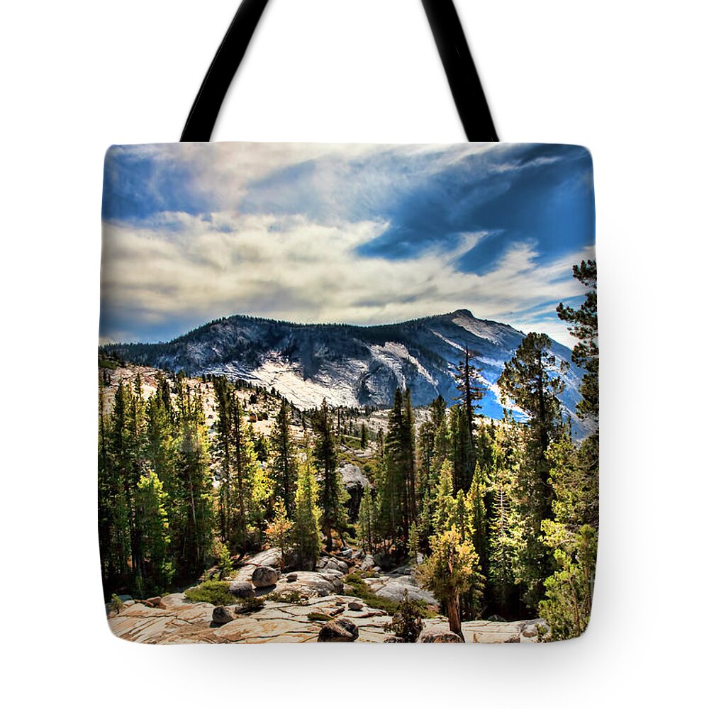 Nature Tote Bag featuring the photograph Natures Best Yosemite by Chuck Kuhn
